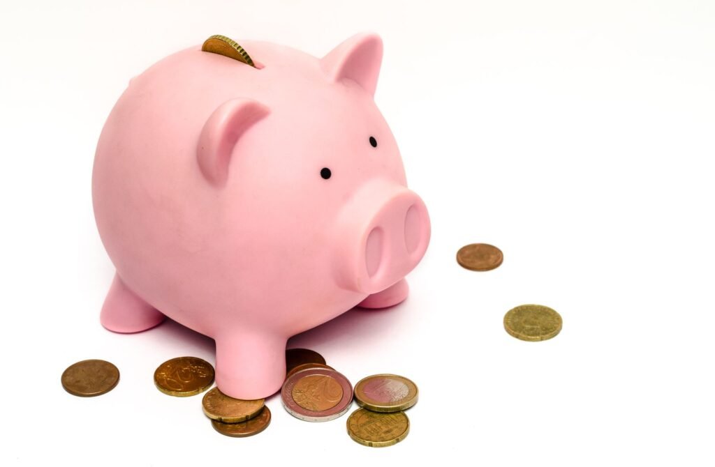 budget 2027 dette publique épargne de l'État