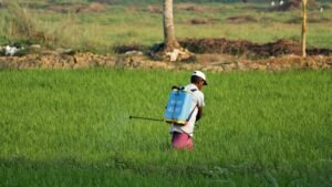 Démission de Monique Barbut : pulvérisation de pesticides dans un champ, photo d'illustration acétamipride