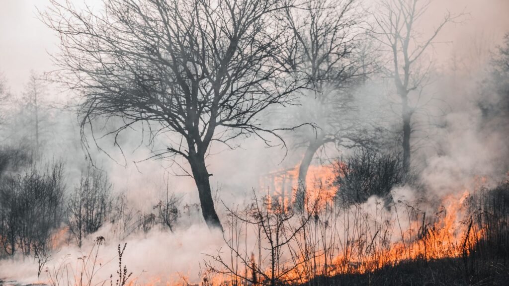 Incendie en Gironde, epais nuage de fumee au-dessus de la foret pres de Bordeaux