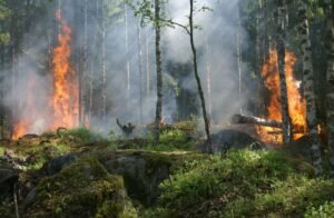 Incendies en Espagne, foret en flammes et fumee