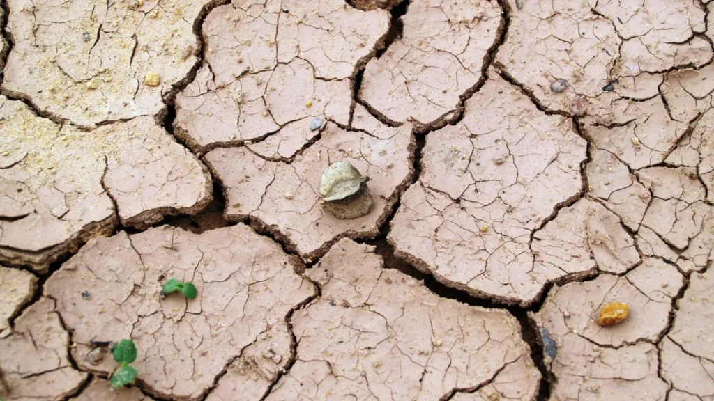 Sol craquelé par la sécheresse sous un soleil écrasant, illustration de la canicule de juillet 2026 en France
