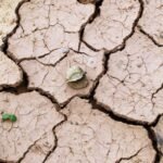 Sol craquelé par la sécheresse sous un soleil écrasant, illustration de la canicule de juillet 2026 en France