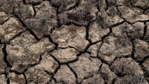 Sol craquelé par la sécheresse, symbole des restrictions d'eau en France en 2026
