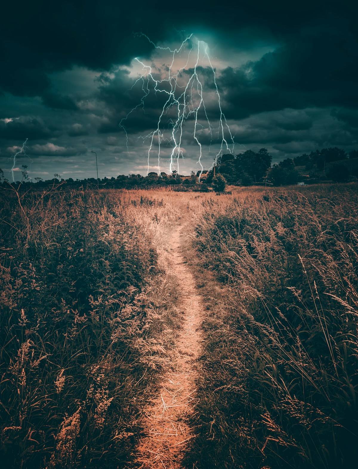 Prévisions d'orages violents pour le 15 août 2026 en France