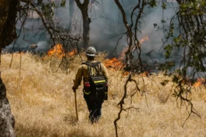Sapeur-pompier luttant contre un incendie de forêt dans le Var