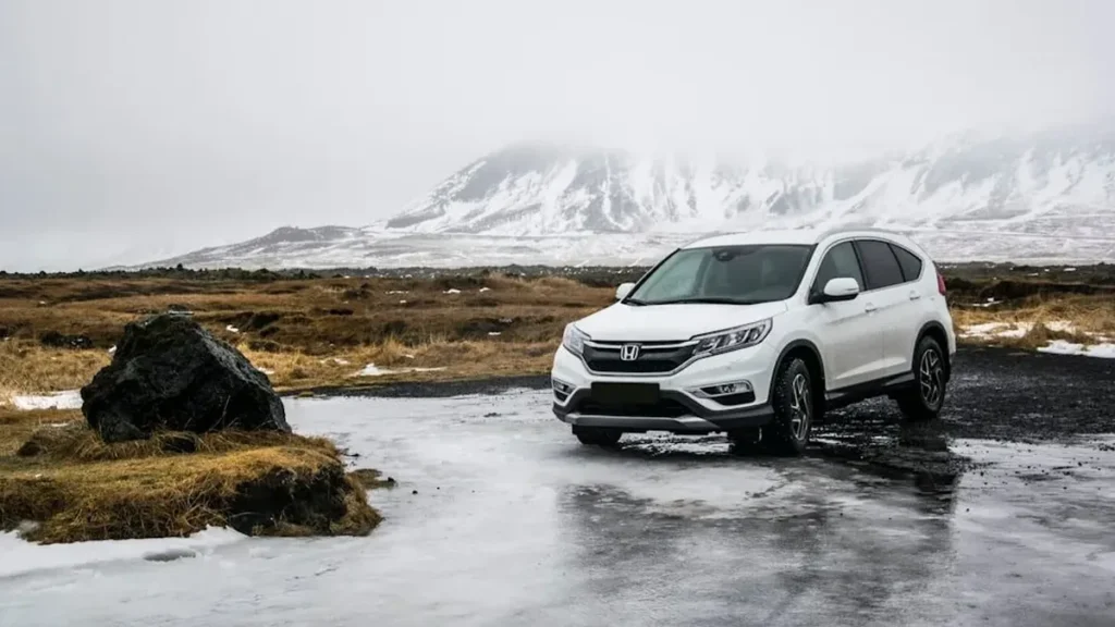 Leasing Voiture Électrique sans Apport (LOA/LLD 2026) : Comparatif des Loyers Mensuels et Bonus Écologique